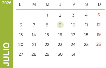 Feriados Julio 2024